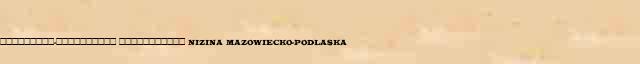 ���������-���������� ����������� (Nizina Mazowiecko-Podlaska) ������ � ������� ����������������� �������� ������� 